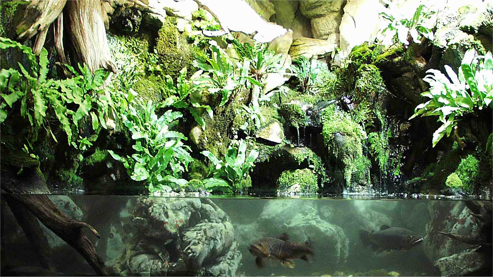 ../Images/001 Ein Gebirgsbach im Haus der Natur.jpg